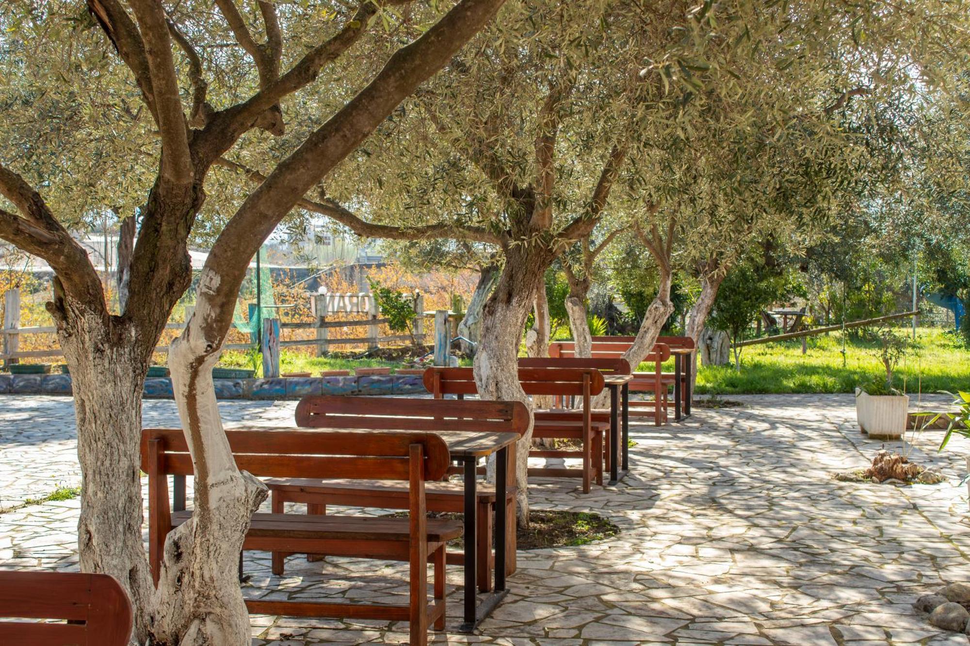 Hotel Oasis *